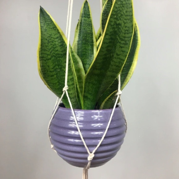 Minimalist Macrame Plant Hanger - 54” - Picture 6 of 6